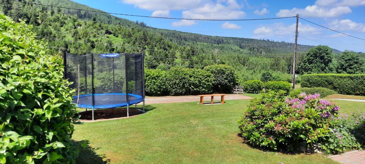 Chalet Les Marmottons Sauna Pool Table, Nintendo, Petanque Gerbépal Eksteriør bilde